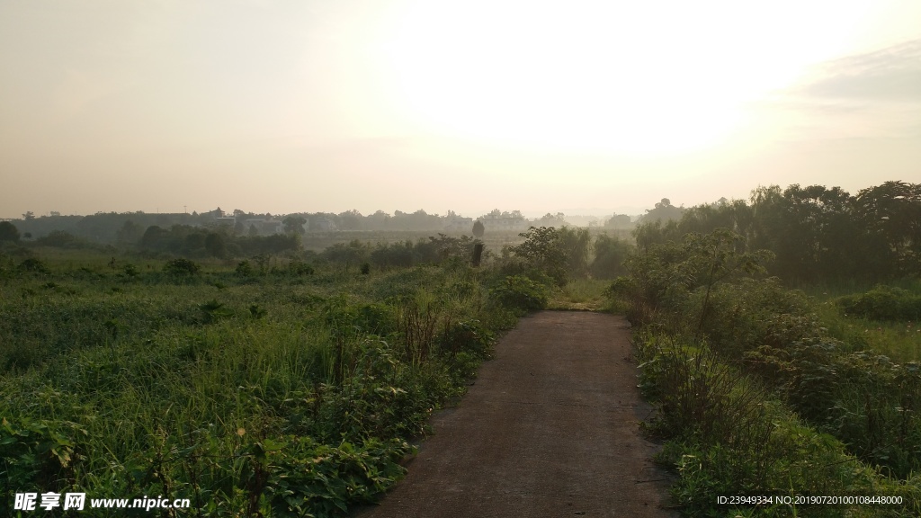 乡间小路