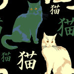 黑猫