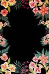 花框