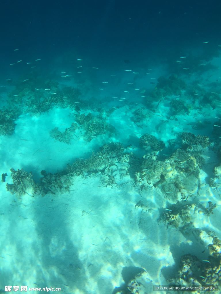 海底底纹背景