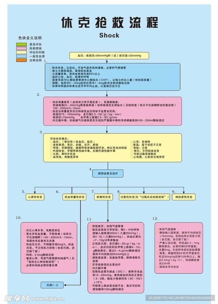 休克抢救流程