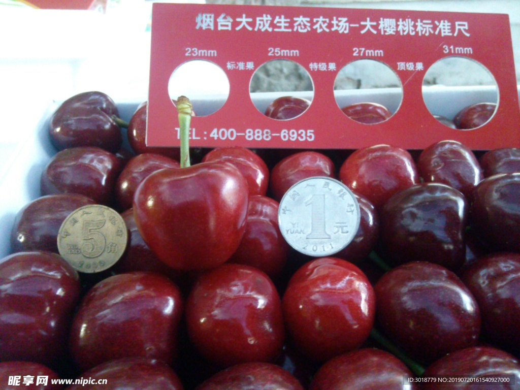 樱桃