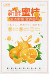 新鲜橘子水果促销海报