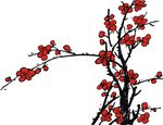 梅花