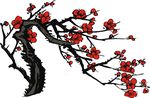 梅花