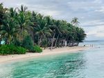 夏天沙滩海边椰子树