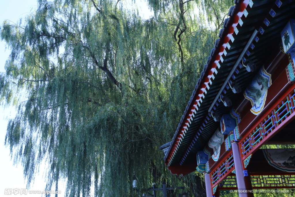 后海风景