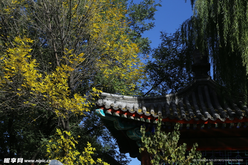 后海风景