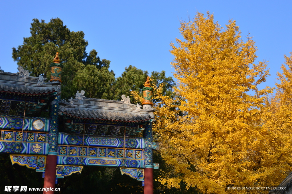 金秋植物园