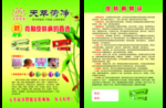 天萃荷净宣传单