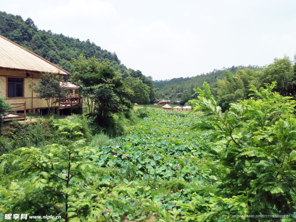 田园风景