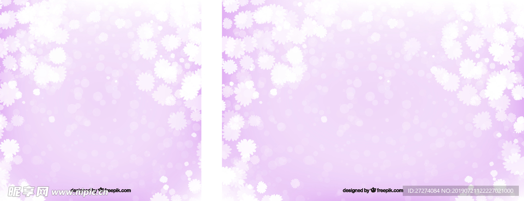 紫色背景上白色花朵