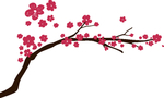 梅花香自苦寒来