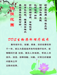 养生海报
