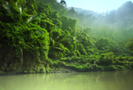 森林旅游海报