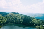 山
