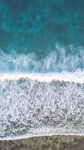 浪花