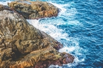 海水