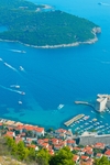 海