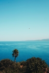 山
