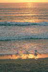 夕阳下的海浪