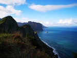 山