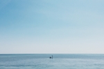 天海