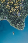 海峡