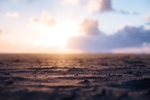 海面