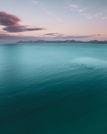 海面