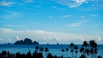海