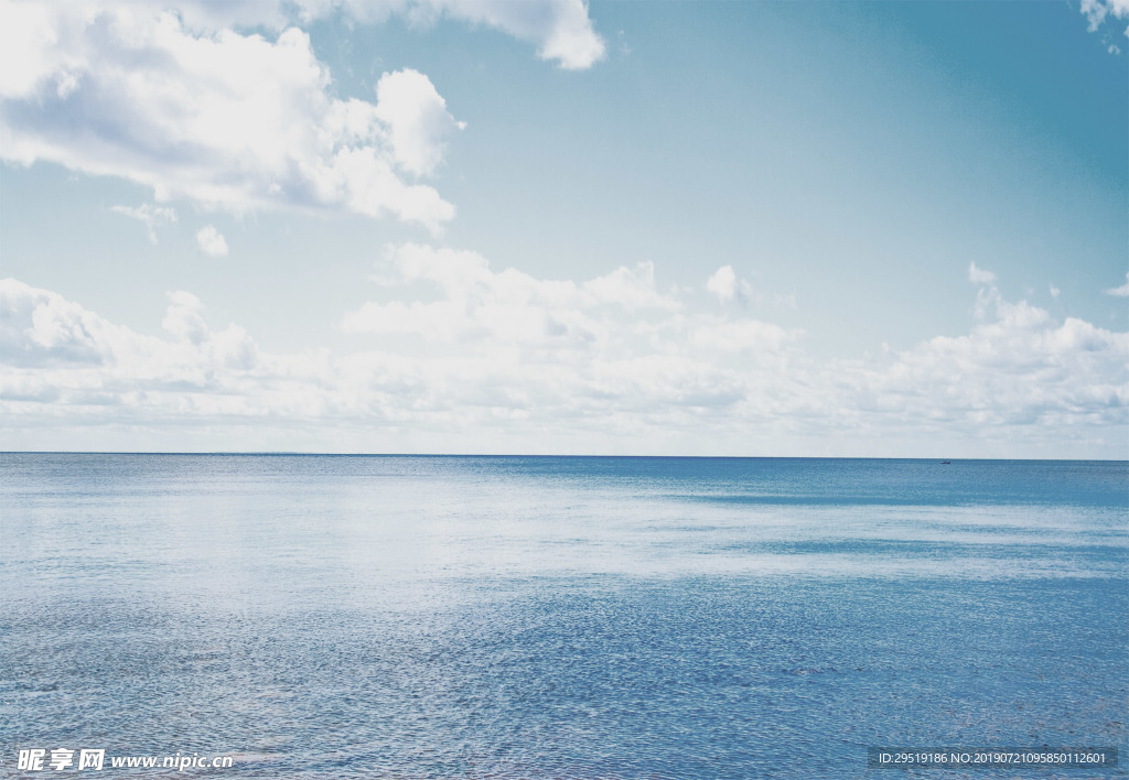 海