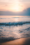 大海