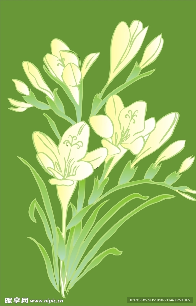 百合花