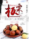 板栗美食农家特产
