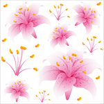 花卉底纹