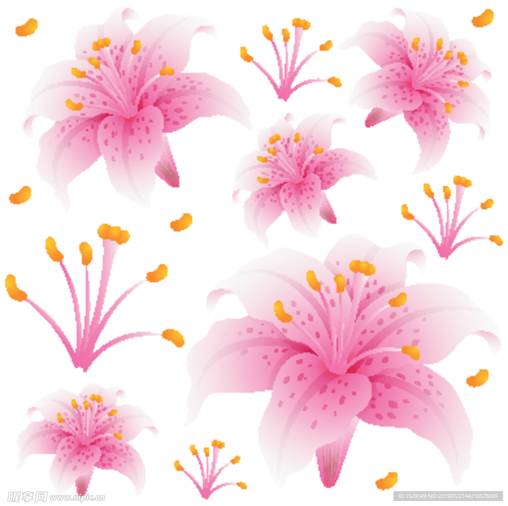 花卉底纹