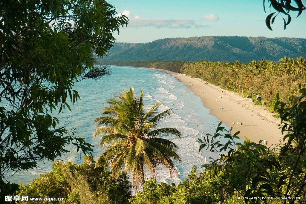 海边沙滩岛屿热带雨林 椰子树