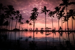 海边晚霞度假旅游椰子树