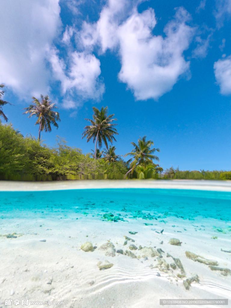 夏天沙滩海边椰子树蓝天白云