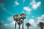蓝天白云椰子树夏天