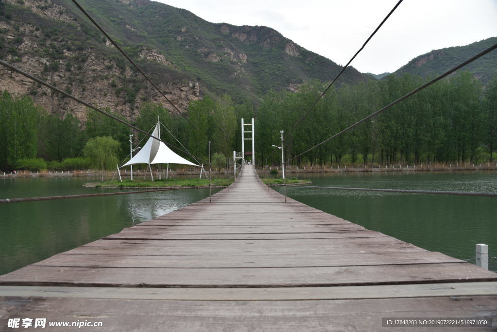 吊桥 花 山水 风景 河