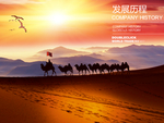 公司文化