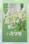 八月宣传设计海报