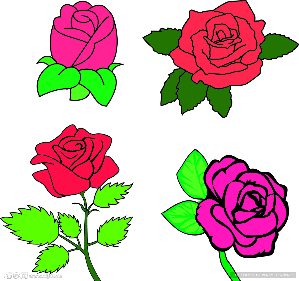 玫瑰插画