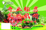 水果蔬菜全场特价 开业钜惠 震