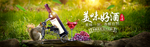 baner    酒   海报
