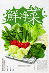净菜海报