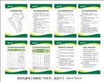 邮政包裹局上墙展板广告系列