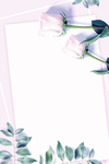 花朵背景
